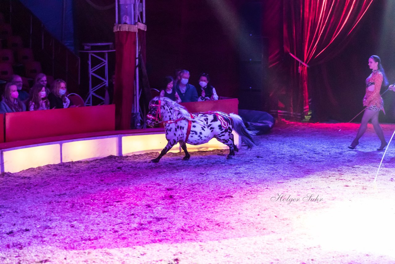Bild 397 - Zirkus Europa